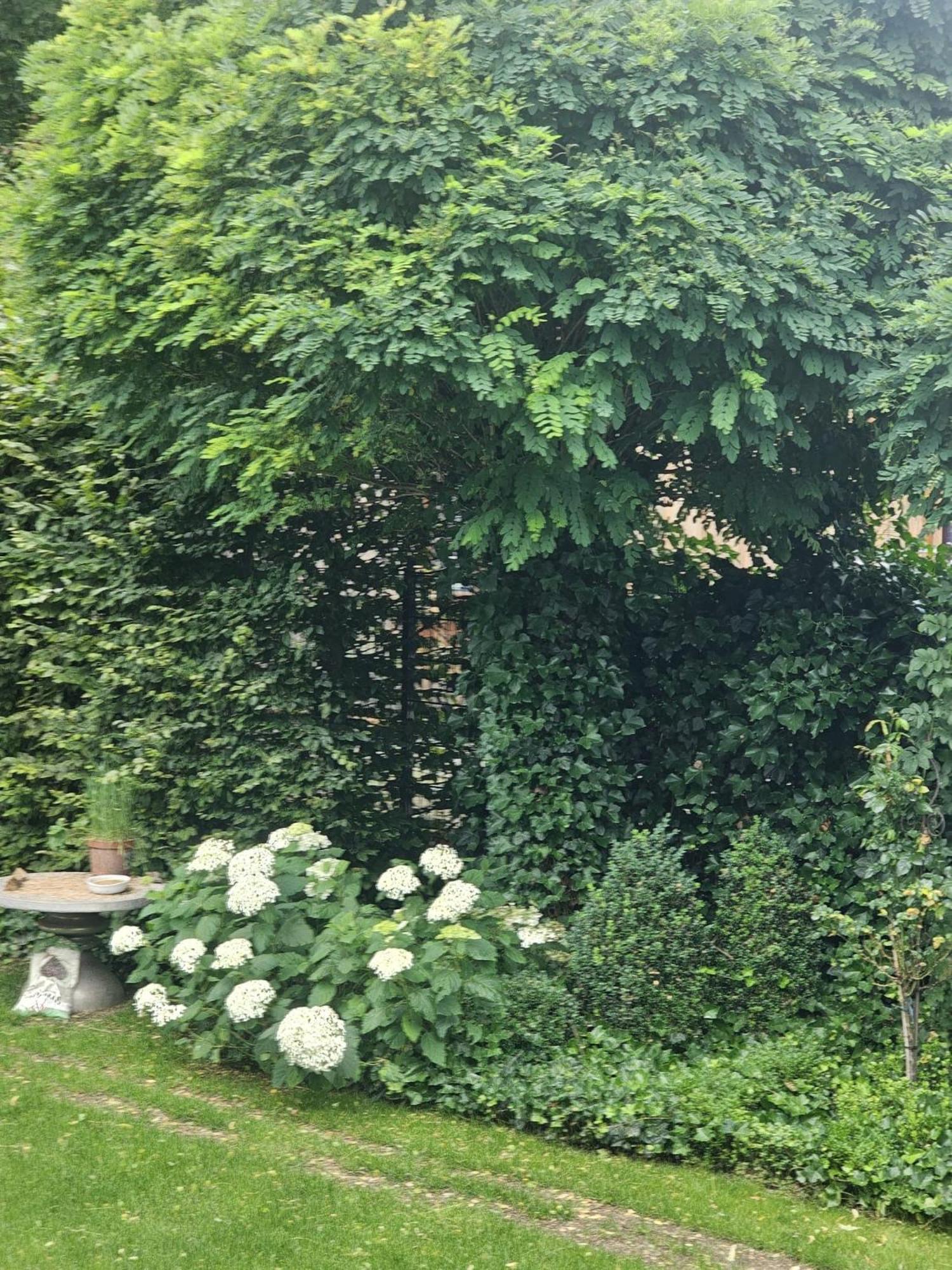 Gemuetliche Wohnung Mit Sauna Neumarkt in der Oberpfalz Extérieur photo